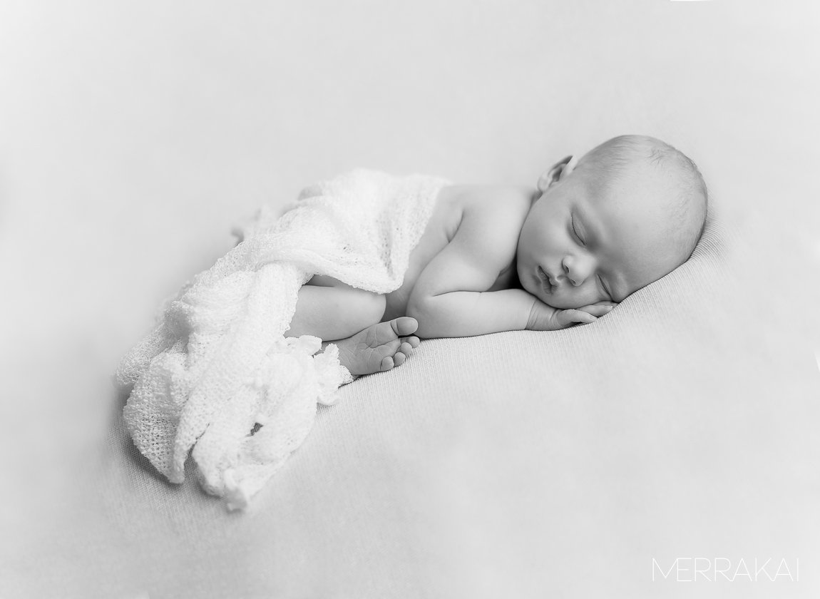 Baby Logan's Newborn Portraits-17