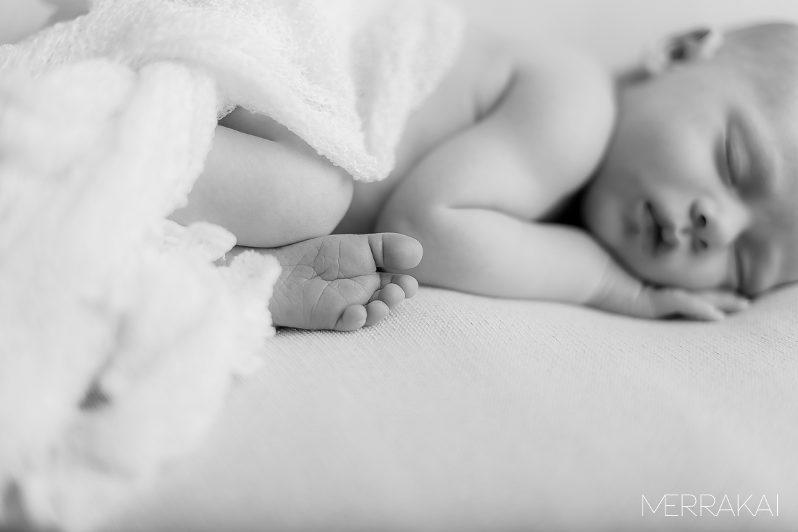Baby Logan's Newborn Portraits-18
