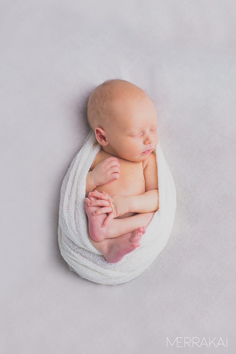 Baby Logan's Newborn Portraits-2