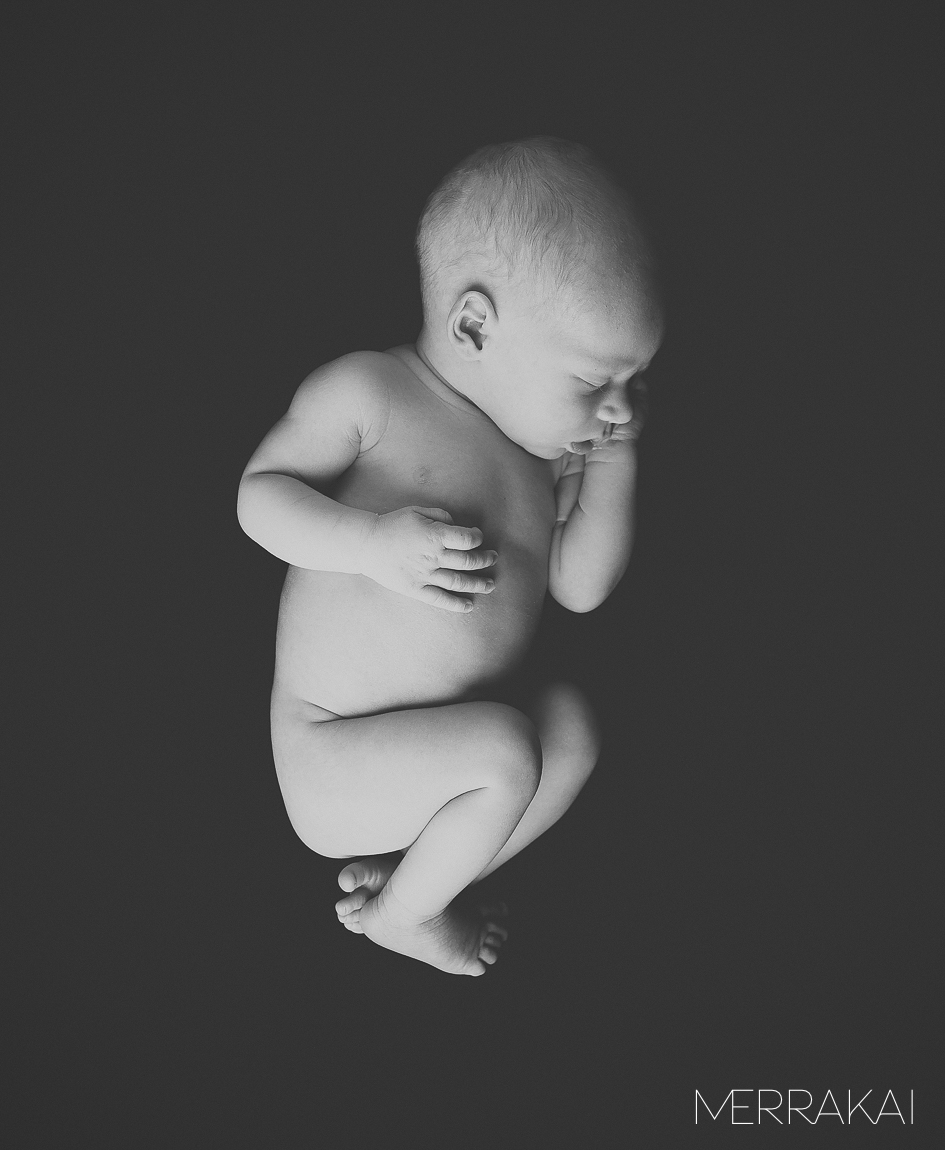 Baby Logan's Newborn Portraits-5