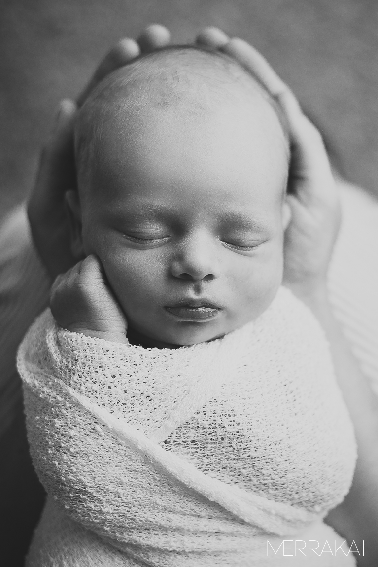 Baby Logan's Newborn Portraits-9